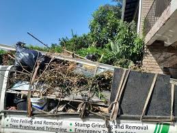 Best Hoarding Cleanup  in Berthoud, CO